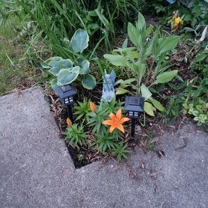 Meet your Posher, Esther